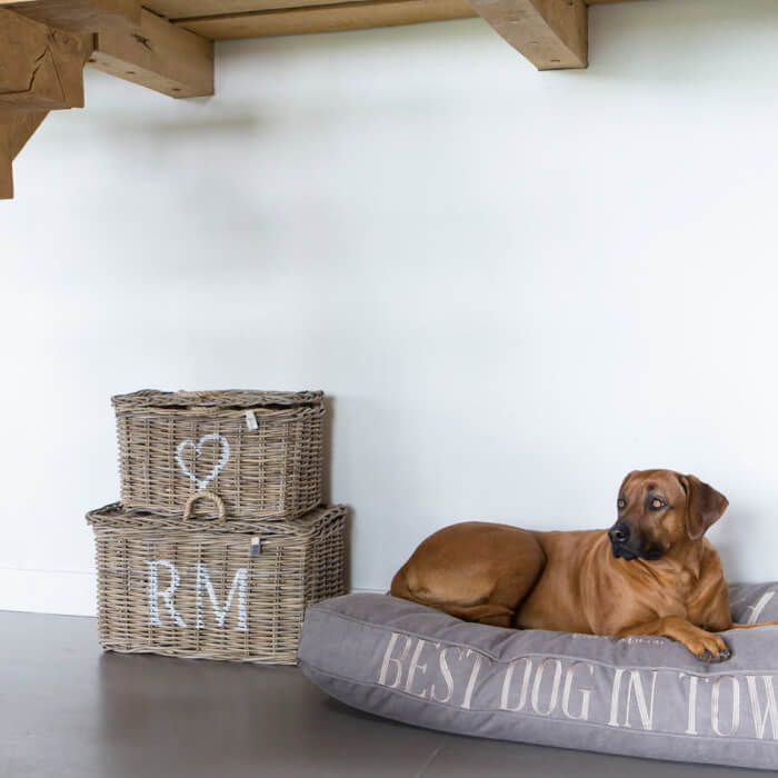 rustic-rattan-classic-korb-set-mood-hund