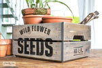 schablone-seeds-mood2