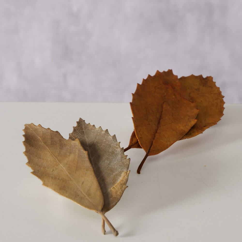 streudeko herbstbltter