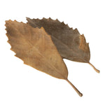 streudeko herbstbltter grn braun