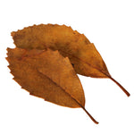 streudeko herbstbltter rostbraun