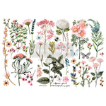 transfer-botanical-paradise