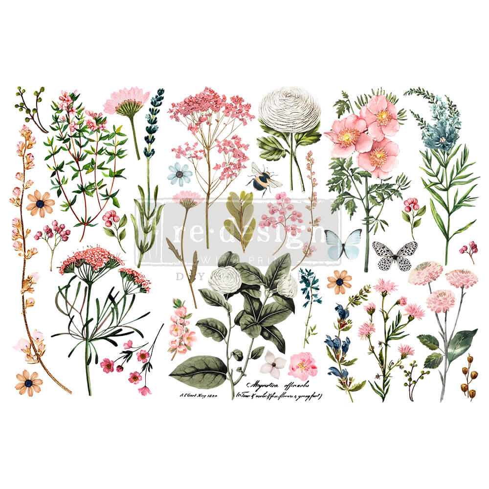 transfer-botanical-paradise