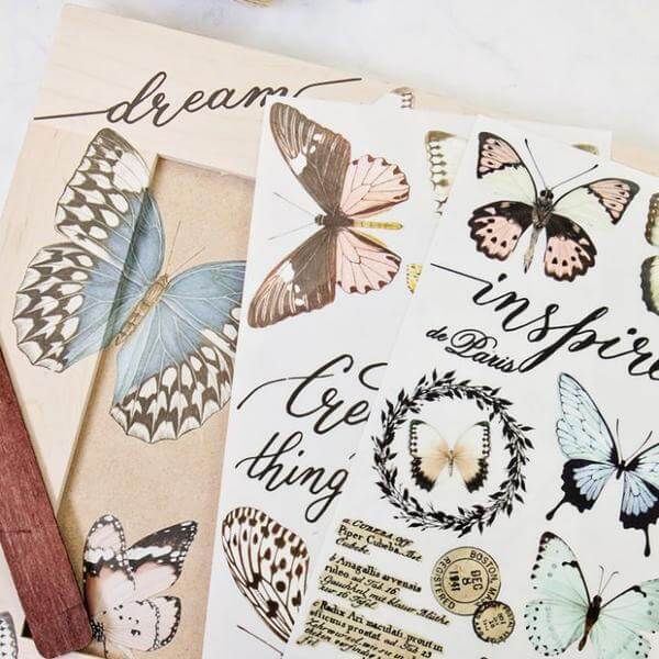 transfer-papillon-collection-mood2