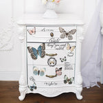 transfer-papillon-collection-mood3