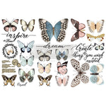 transfer-papillon-collection