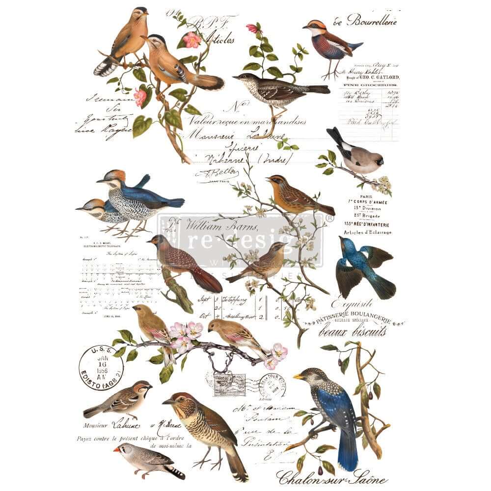 transfer-postal-birds