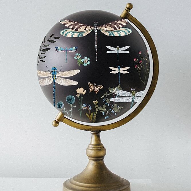 transfer-spring-dragonfly-mood