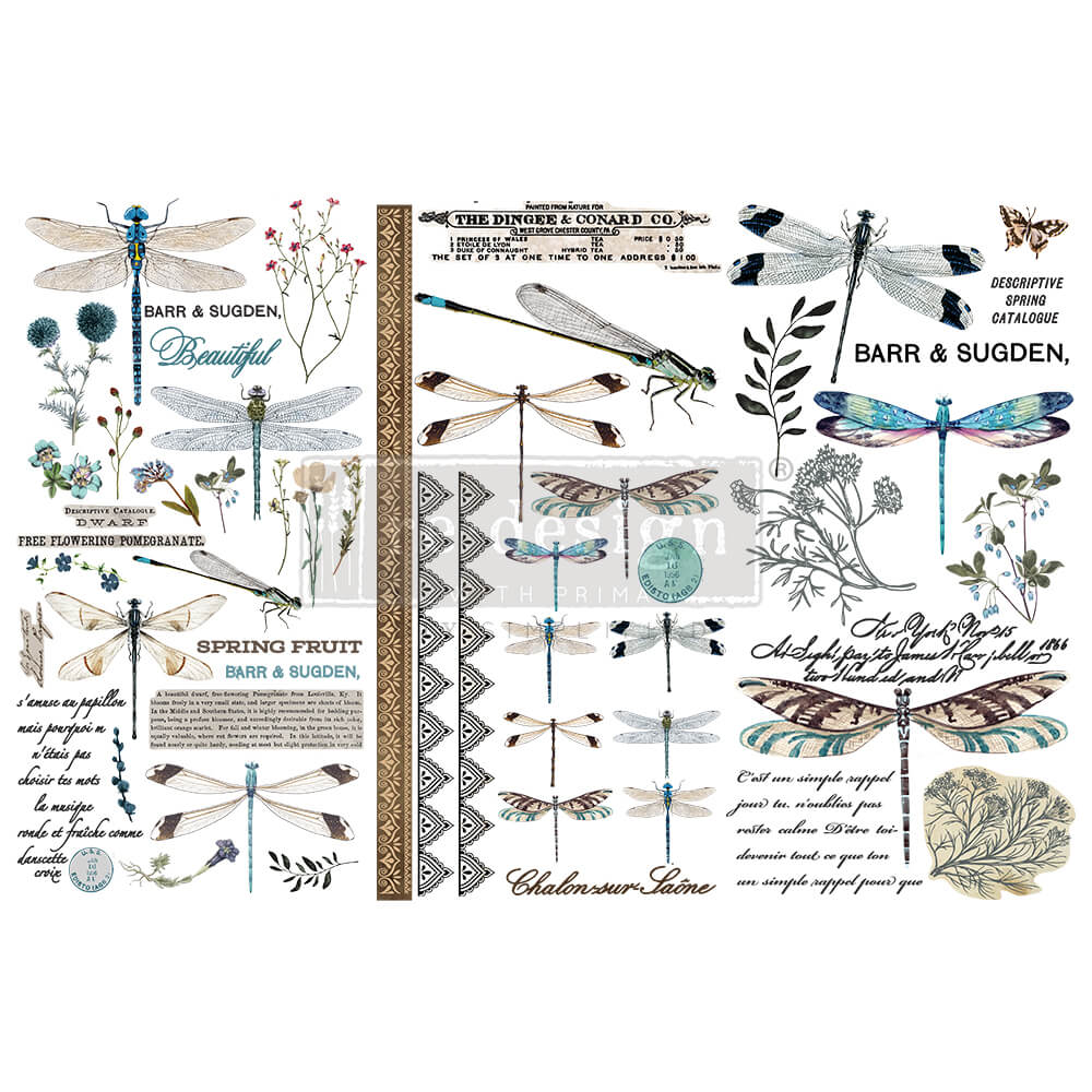 transfer-spring-dragonfly