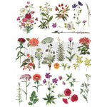 transferfolie-floral-collection