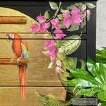 transferfolie tropical birds mood