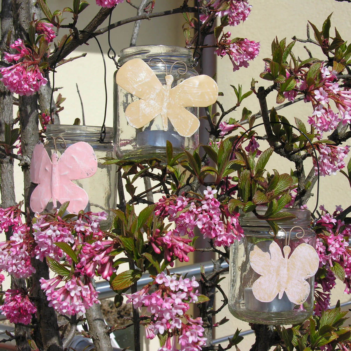 windlicht-schmetterling-trio-mood