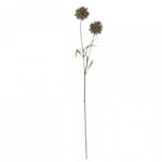 zweig-fleur-distel