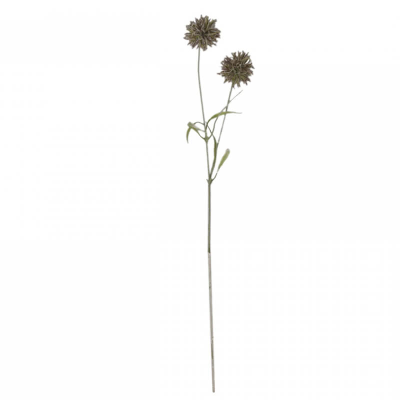 zweig-fleur-distel